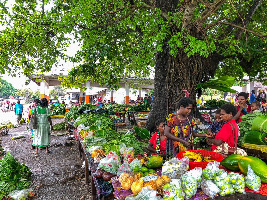 Village Market Tanna Island Vanuatu