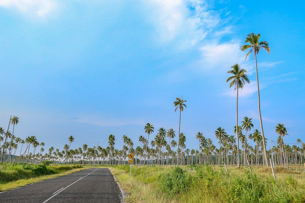 Santo Island Vanuatu