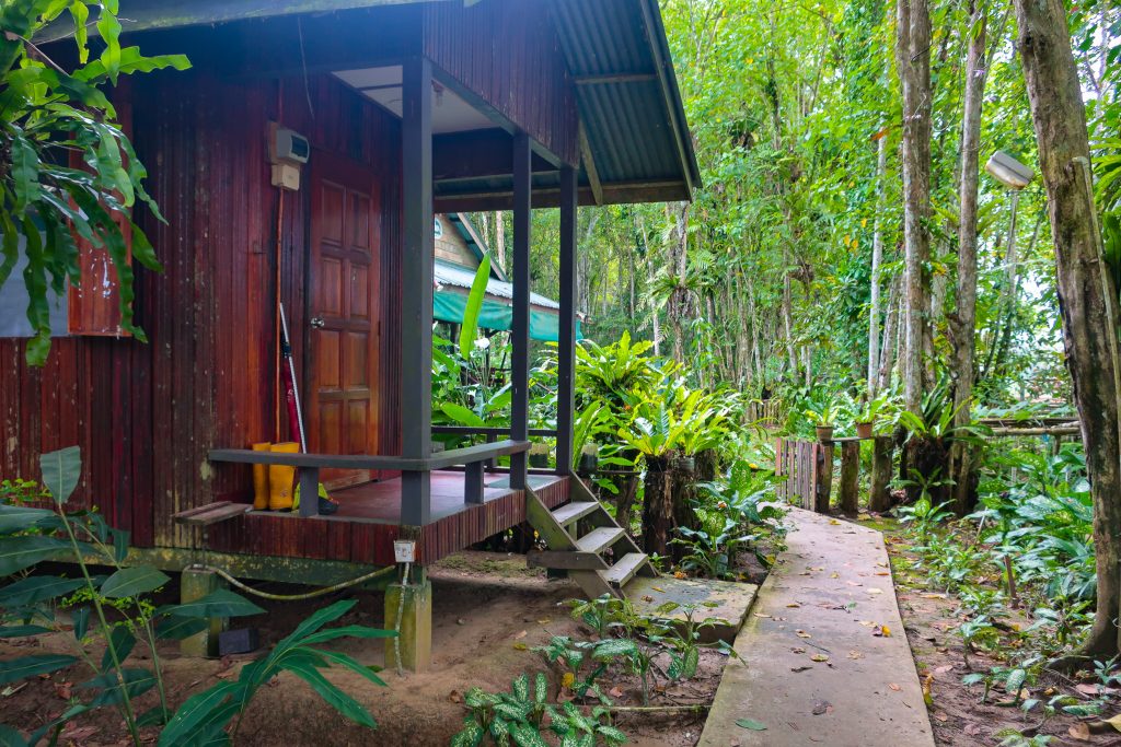 Nature Lodge Kinabatangan Bilit Malaysia