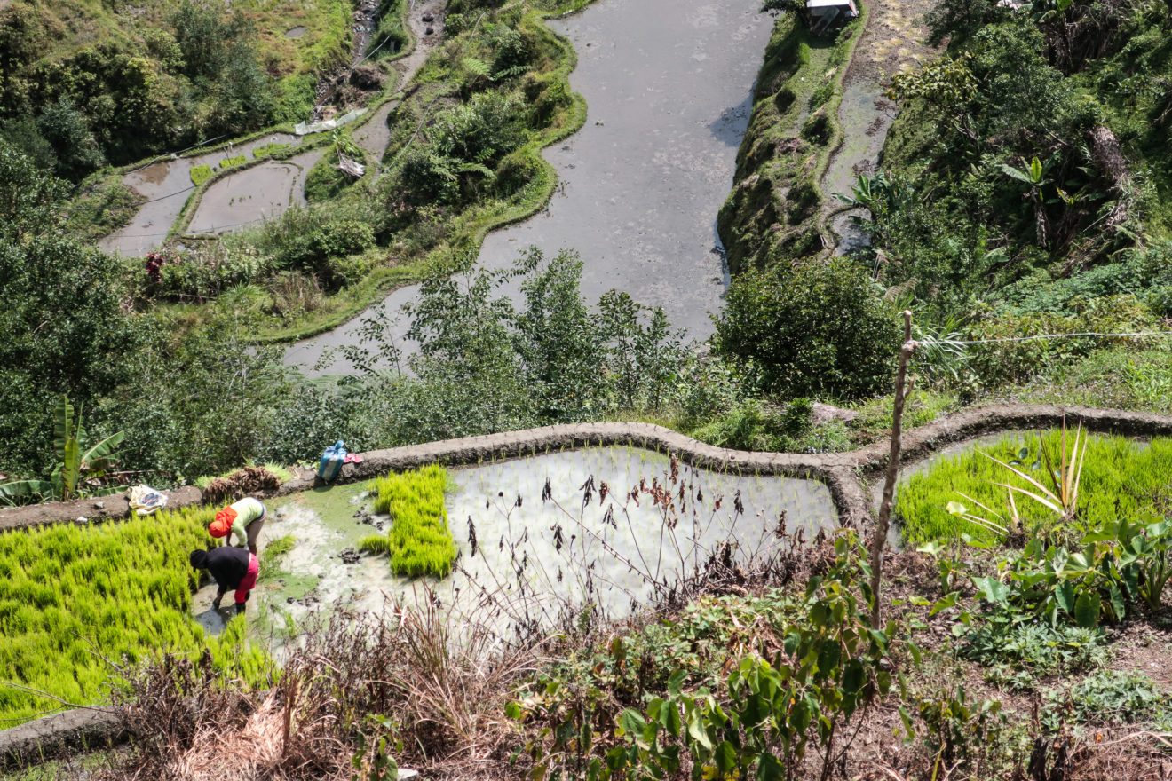 Breathtaking Rice Terraces Of Ifugao Province, Philippines - There Is Cory