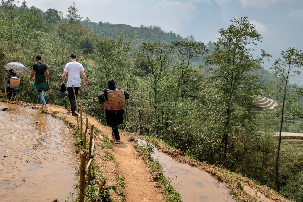 Rice Terrace Village Trek - Sapa, Vietnam